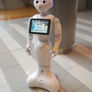 Meet your Posher, Chau